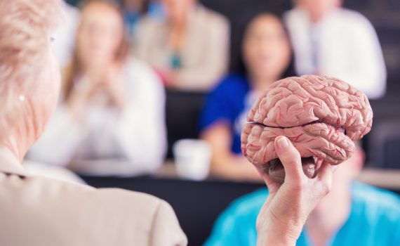 Teacher holding up a model brain at the front of a classroom.