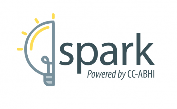 Picture of light bulb next to Spark logo